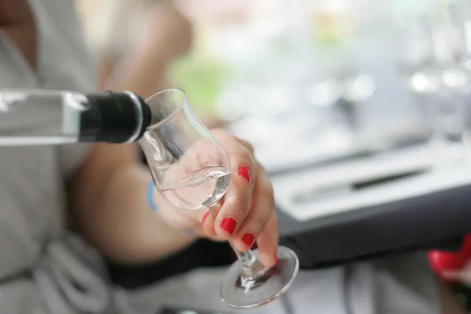 ease-therapy-magyar-fozokurzus-hello-kedvezmeny-palinka kostolo